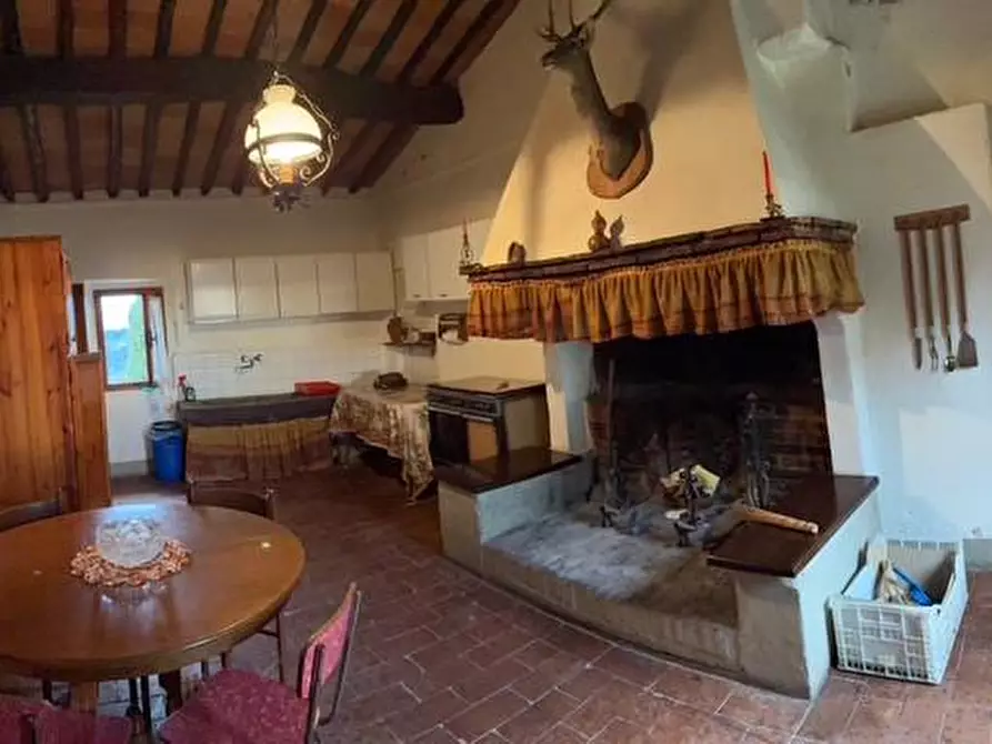 Immagine 26 di Casa colonica in vendita  a Palaia