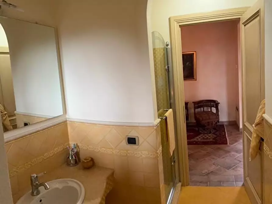Immagine 20 di Casa colonica in vendita  a Palaia