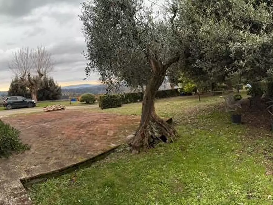 Immagine 3 di Casa colonica in vendita  a Palaia