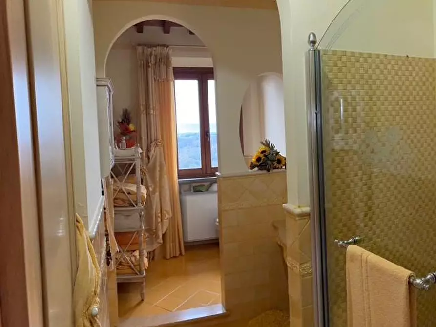 Immagine 19 di Casa colonica in vendita  a Palaia