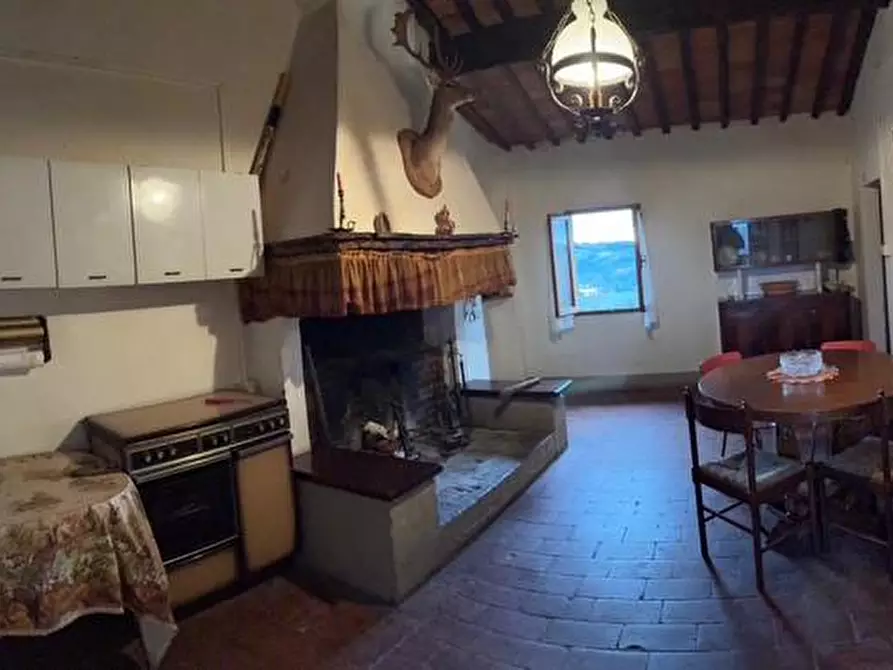 Immagine 25 di Casa colonica in vendita  a Palaia