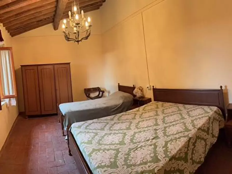 Immagine 31 di Casa colonica in vendita  a Palaia