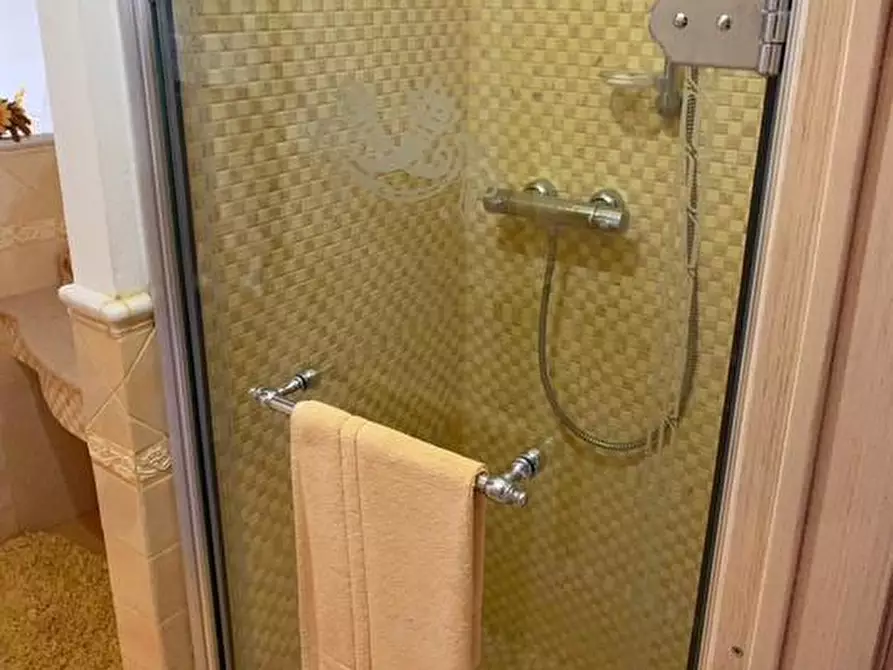 Immagine 21 di Casa colonica in vendita  a Palaia