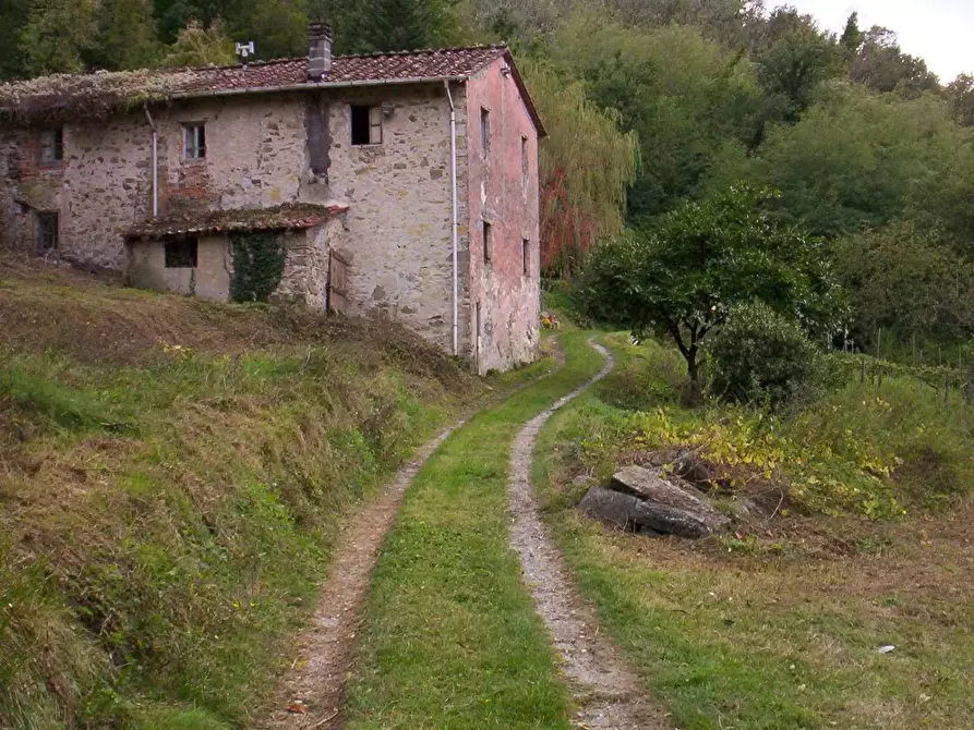 Immagine 10 di Casa colonica in vendita  a Lucca
