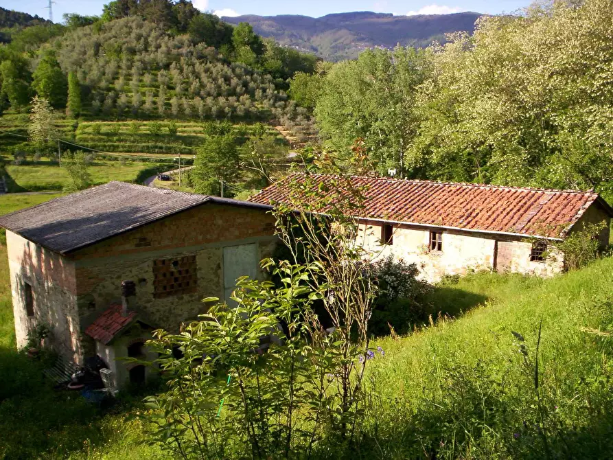 Immagine 4 di Casa colonica in vendita  a Lucca