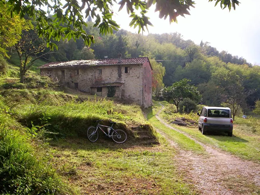 Immagine 5 di Casa colonica in vendita  a Lucca