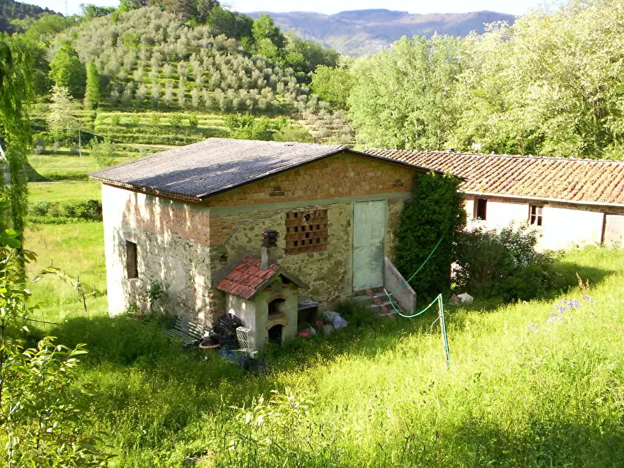 Immagine 7 di Casa colonica in vendita  a Lucca