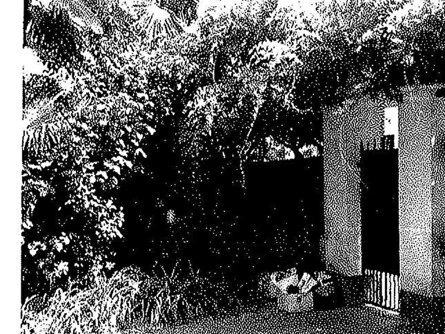Immagine 5 di Villa in vendita  a Bollate