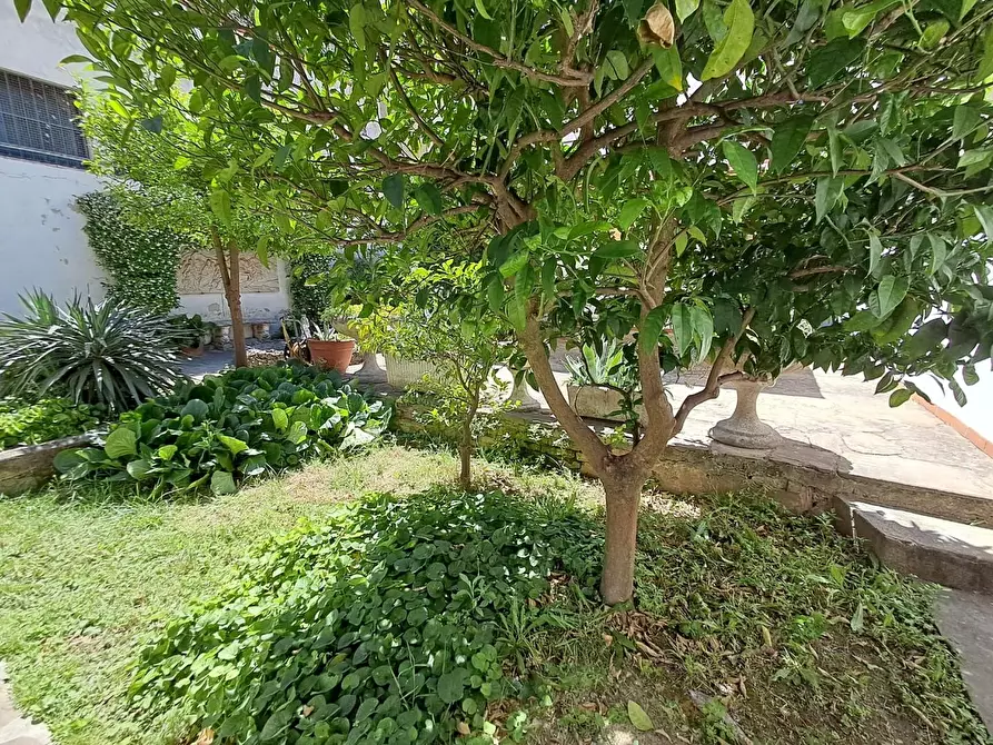 Immagine 43 di Terratetto in vendita  a Cascina