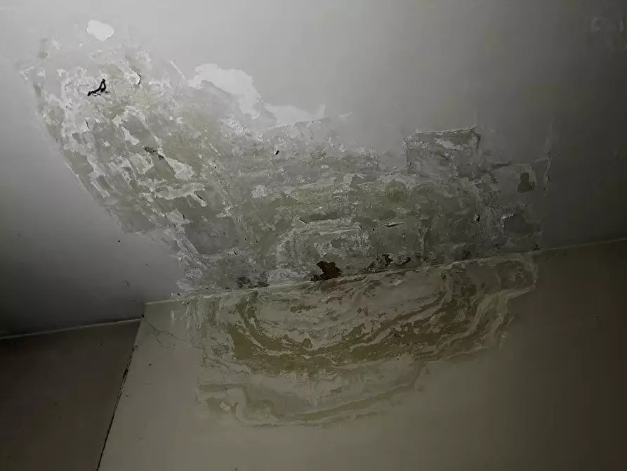 Immagine 4 di Negozio in vendita  a Ancona