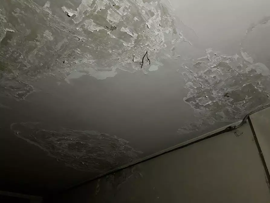 Immagine 7 di Negozio in vendita  a Ancona