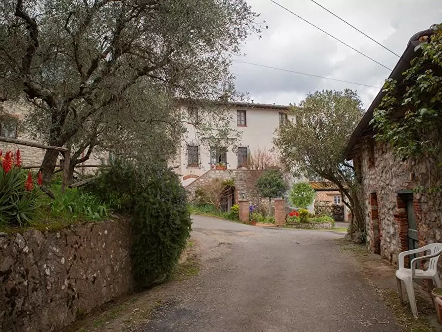Immagine 1 di Casa colonica in vendita  a Lucca