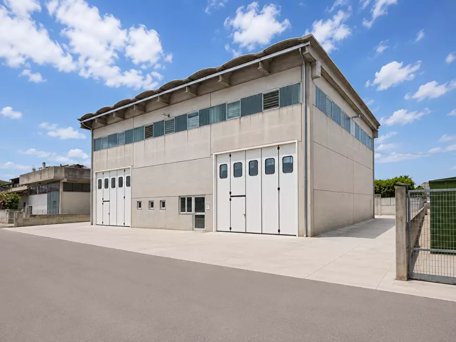 Immagine 3 di Attività artigianale in affitto  a Santa Maria A Monte