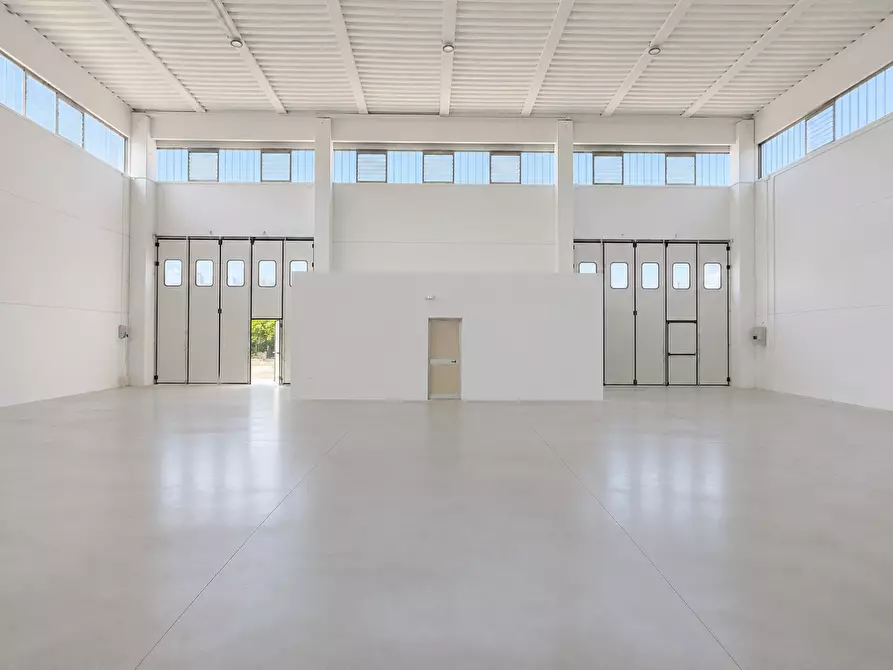 Immagine 7 di Attività artigianale in affitto  a Santa Maria A Monte