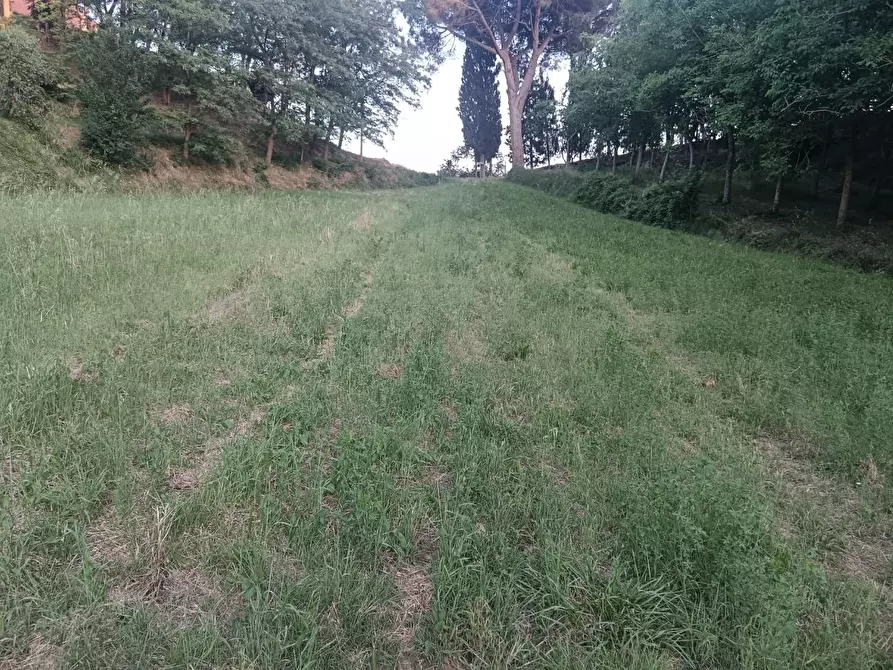 Immagine 2 di Terreno agricolo in vendita  a Pontedera