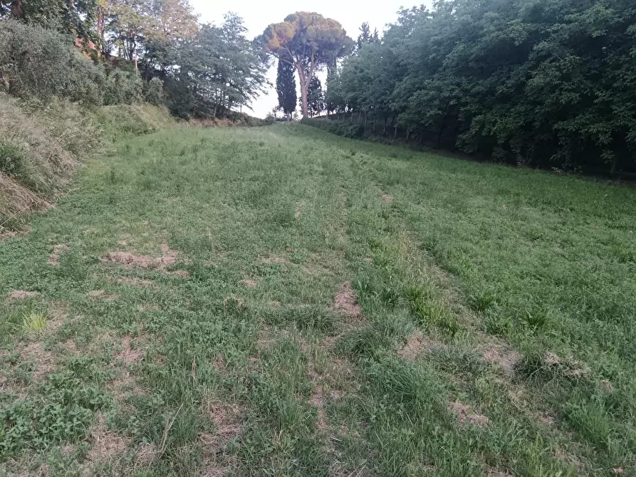 Immagine 1 di Terreno agricolo in vendita  a Pontedera
