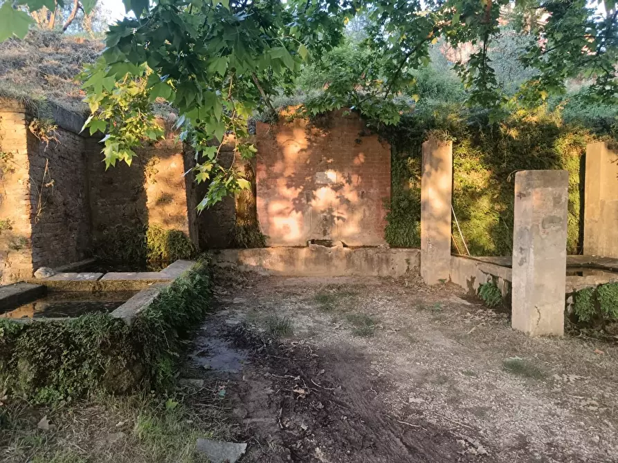 Immagine 5 di Terreno agricolo in vendita  a Pontedera