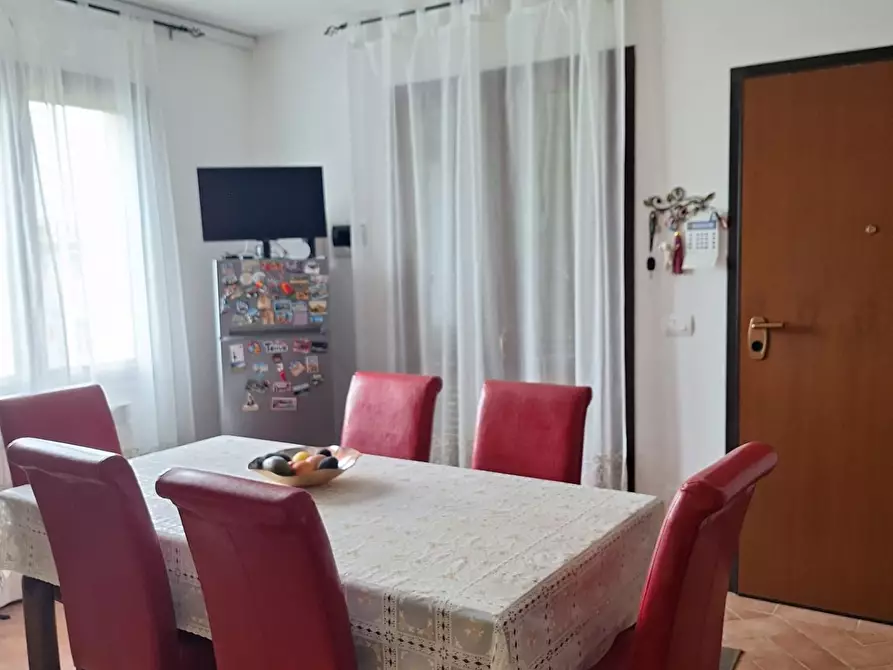 Immagine 3 di Appartamento in vendita  a Peccioli