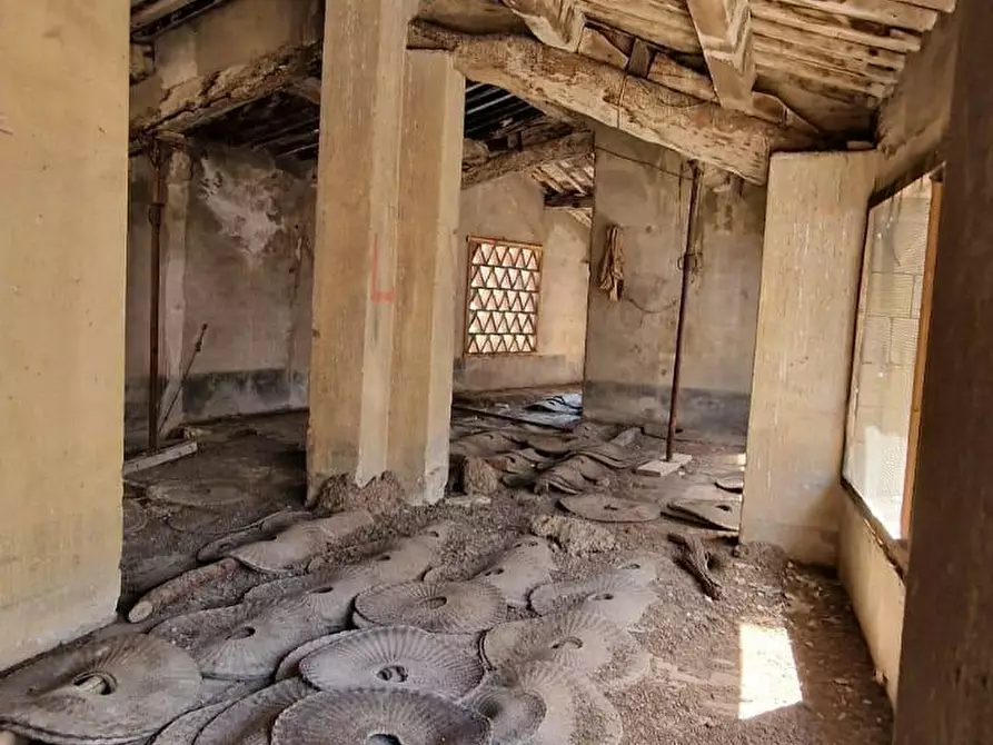 Immagine 15 di Rustico / casale in vendita  a Calci