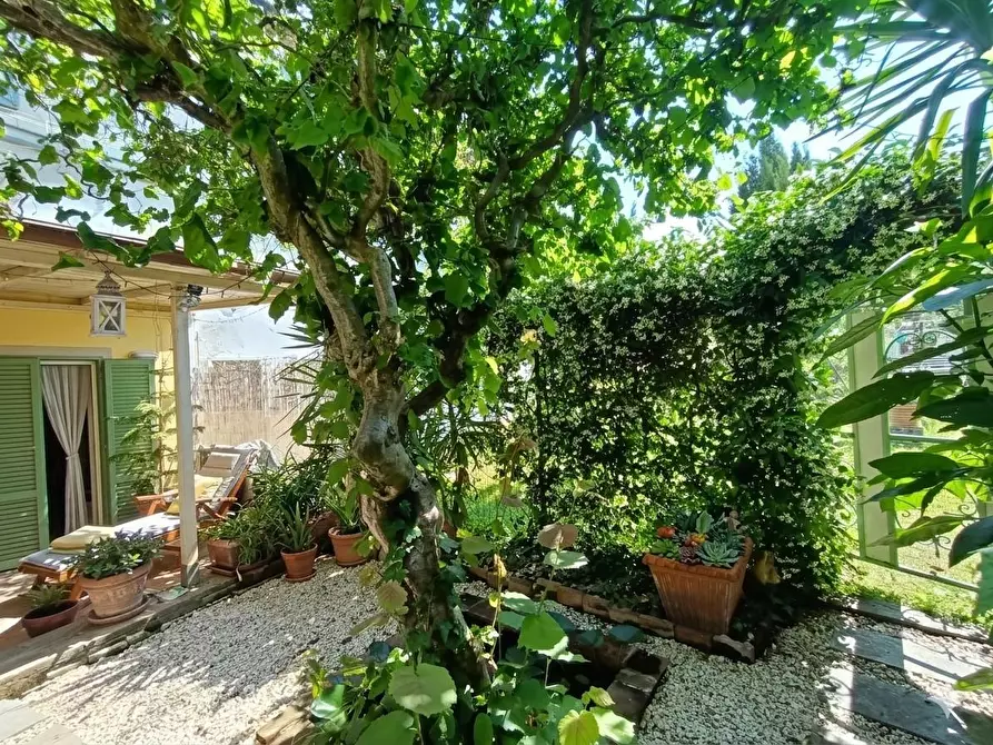 Immagine 38 di Appartamento in vendita  a Pisa