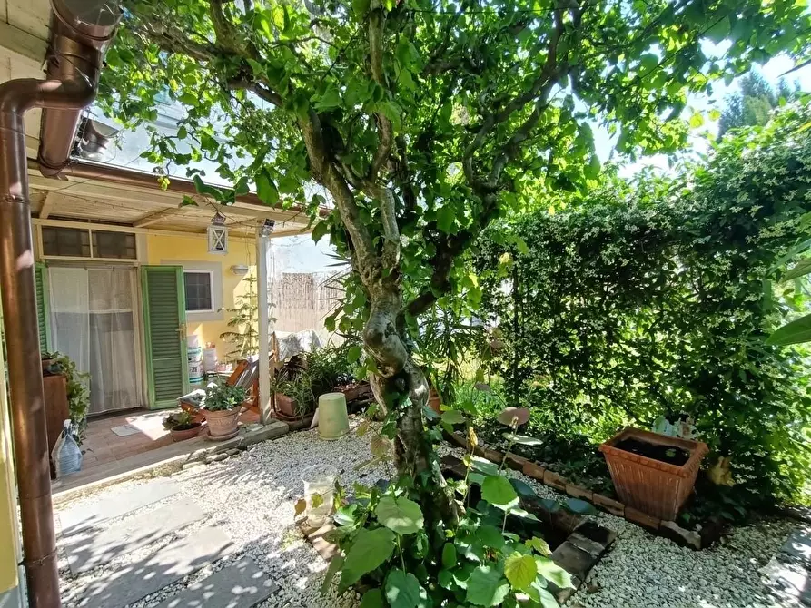 Immagine 34 di Appartamento in vendita  a Pisa