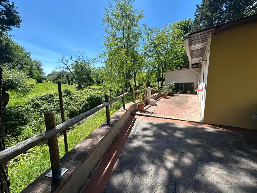 Immagine 5 di Terratetto in vendita  a Empoli