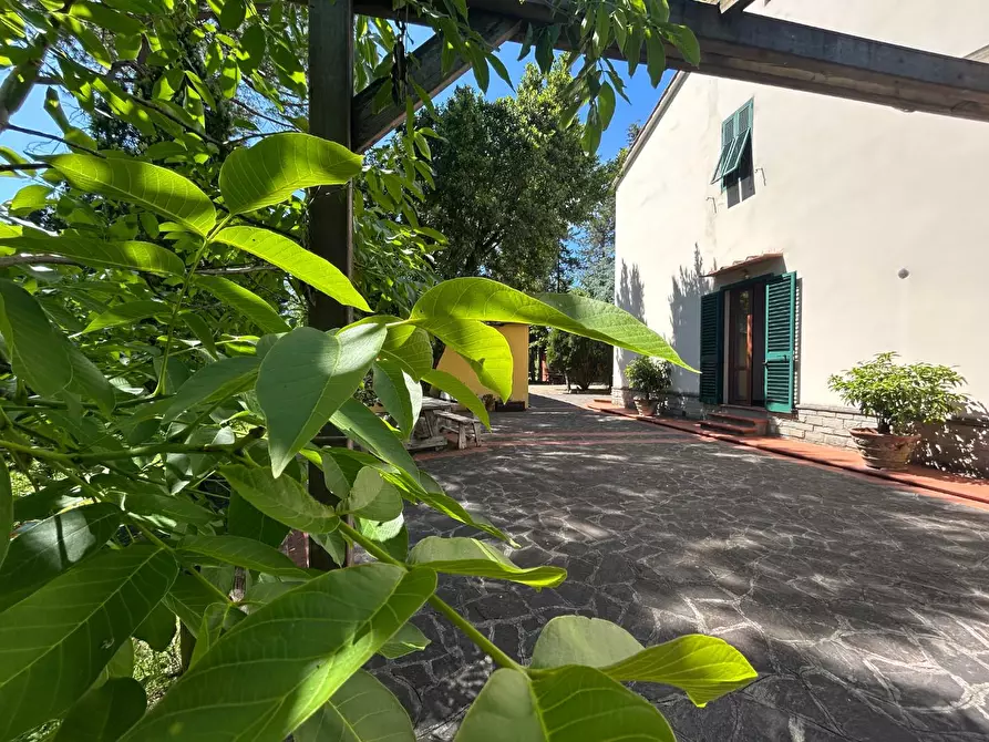 Immagine 9 di Terratetto in vendita  a Empoli