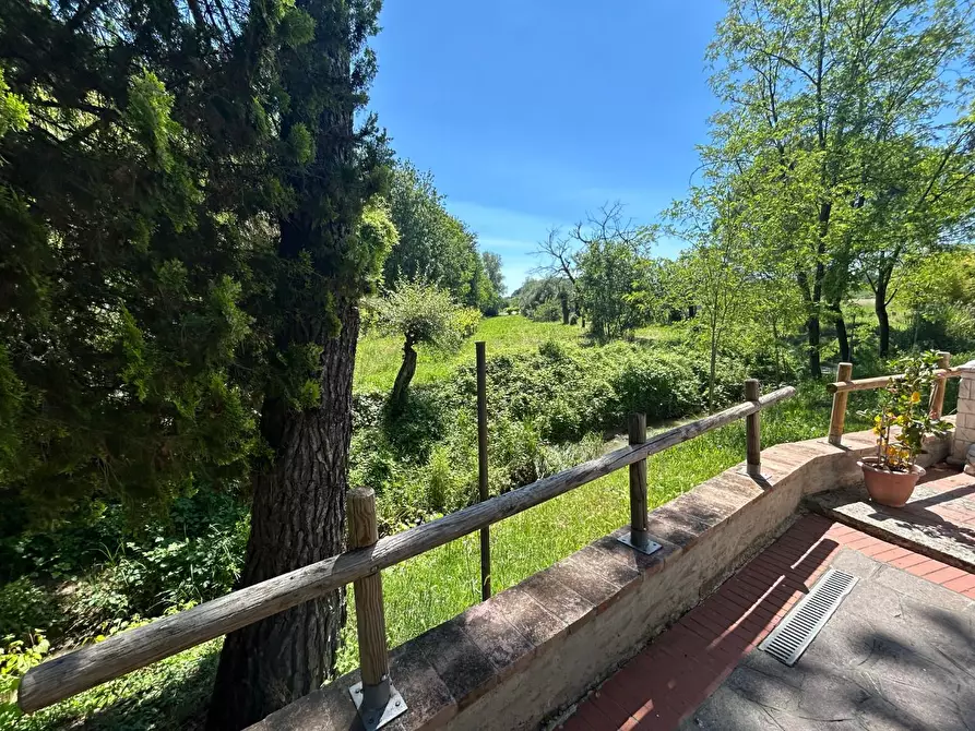 Immagine 6 di Terratetto in vendita  a Empoli