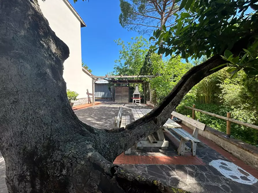 Immagine 4 di Terratetto in vendita  a Empoli