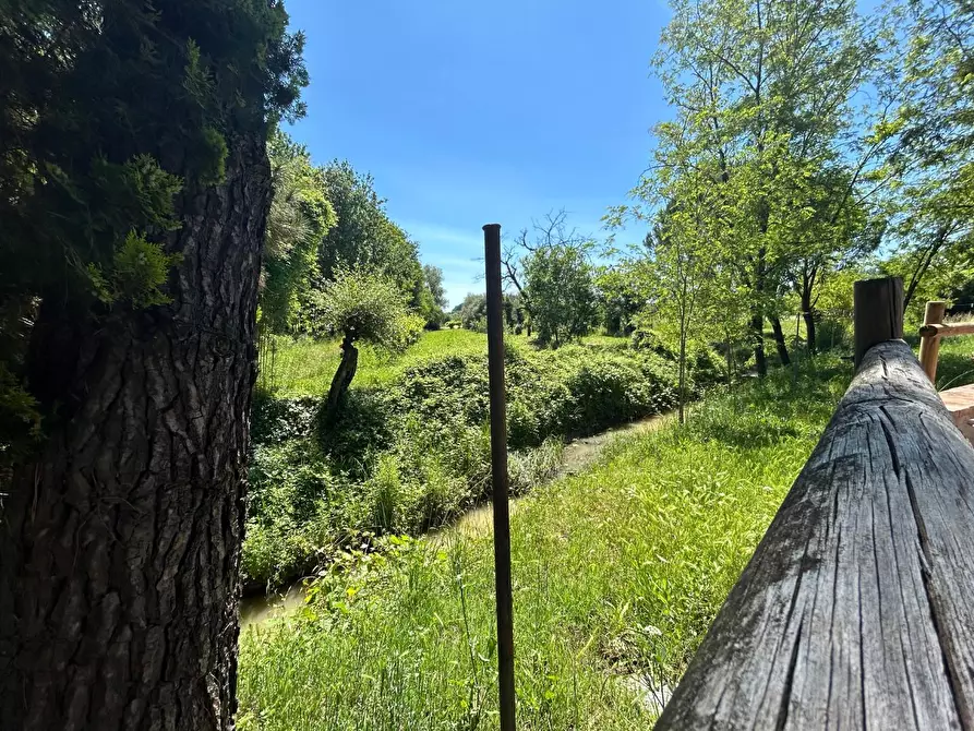 Immagine 11 di Terratetto in vendita  a Empoli