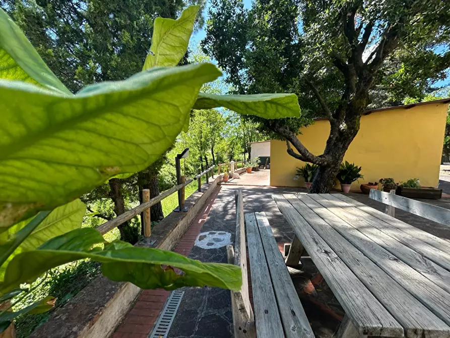 Immagine 10 di Terratetto in vendita  a Empoli