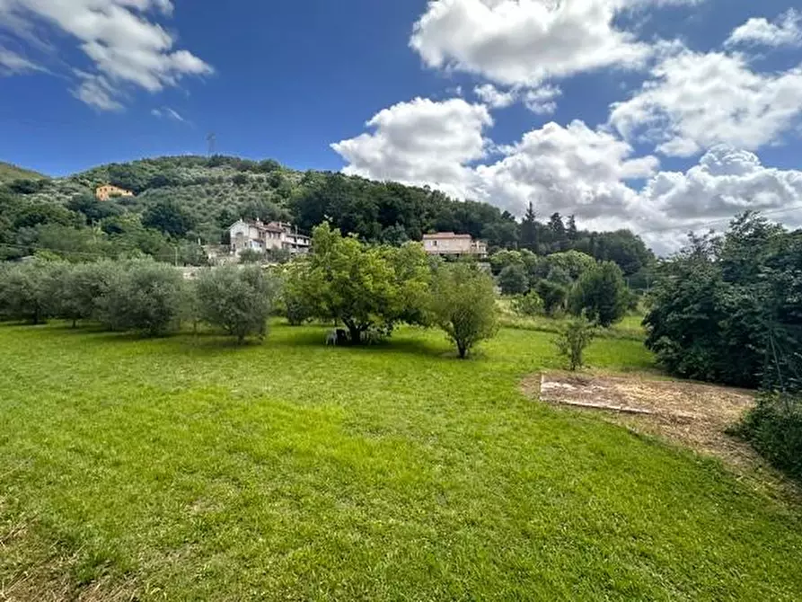 Immagine 4 di Terratetto in vendita  a Vicopisano
