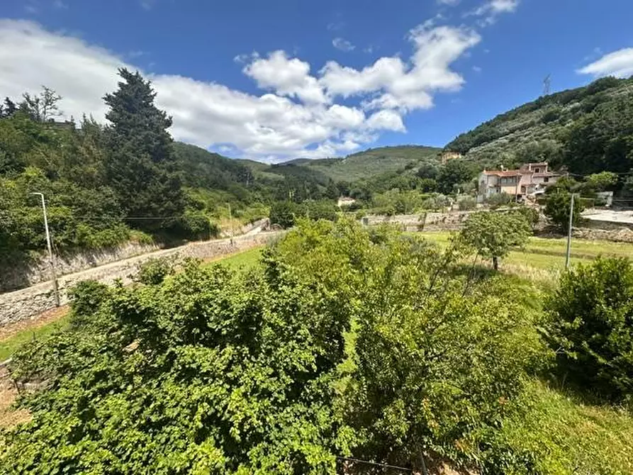 Immagine 8 di Terratetto in vendita  a Vicopisano