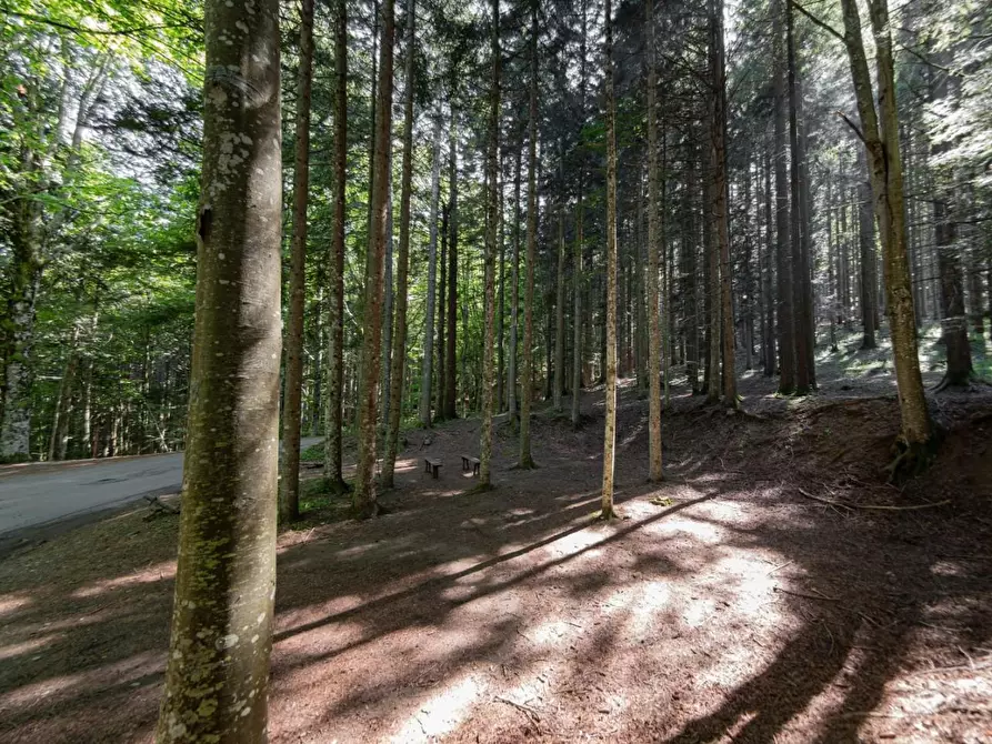Immagine 3 di Terreno agricolo in vendita  a Varisella