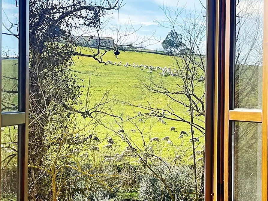 Immagine 20 di Casa colonica in vendita  a Rosignano Marittimo