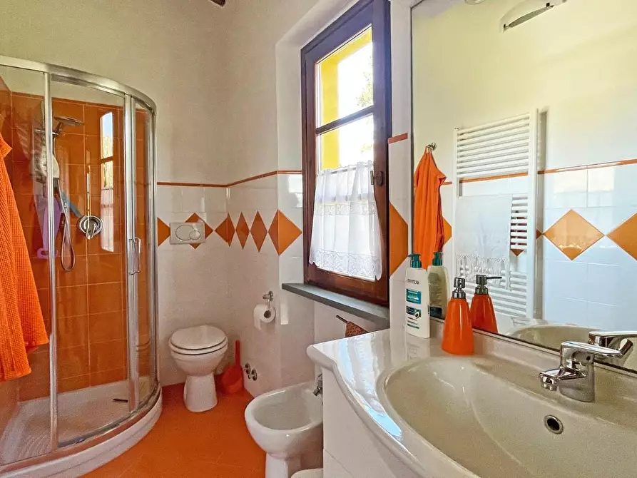 Immagine 13 di Casa colonica in vendita  a Rosignano Marittimo
