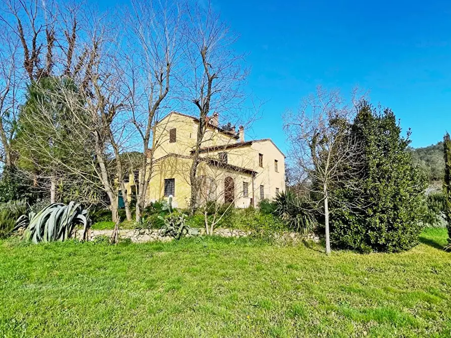 Immagine 4 di Casa colonica in vendita  a Rosignano Marittimo