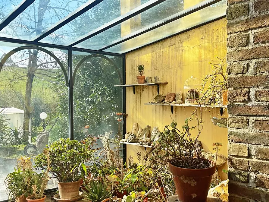 Immagine 30 di Casa colonica in vendita  a Rosignano Marittimo