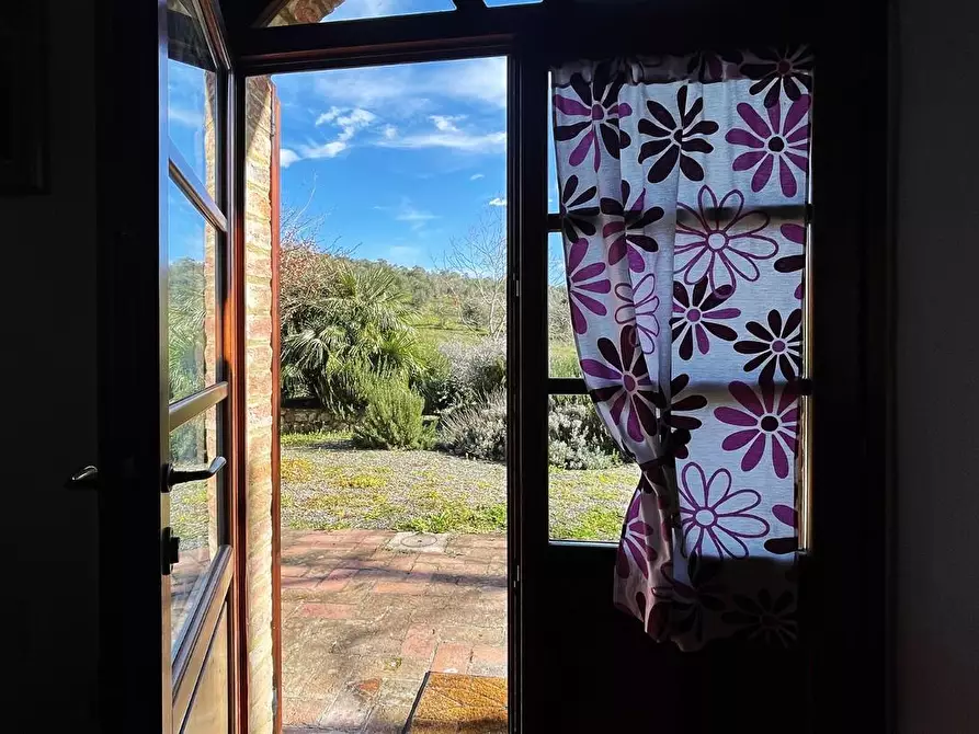 Immagine 36 di Casa colonica in vendita  a Rosignano Marittimo