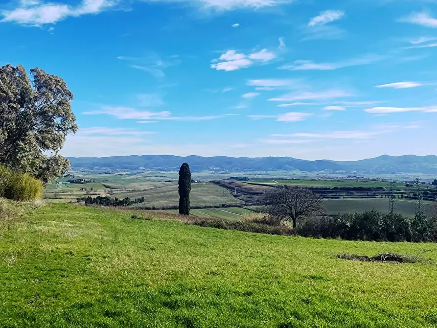 Immagine 48 di Casa colonica in vendita  a Rosignano Marittimo