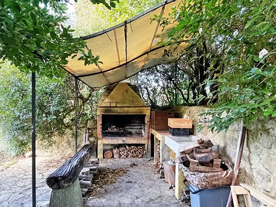 Immagine 32 di Casa colonica in vendita  a Rosignano Marittimo