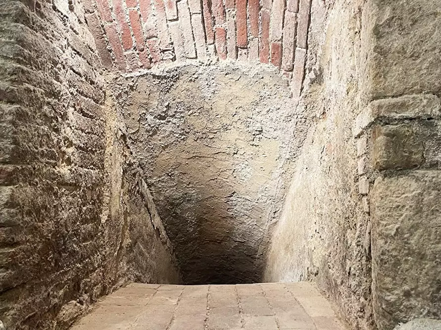 Immagine 27 di Casa colonica in vendita  a Rosignano Marittimo