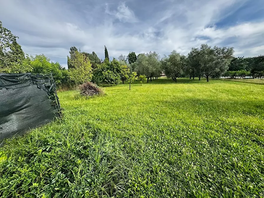 Immagine 10 di Villa in vendita  a San Giuliano Terme
