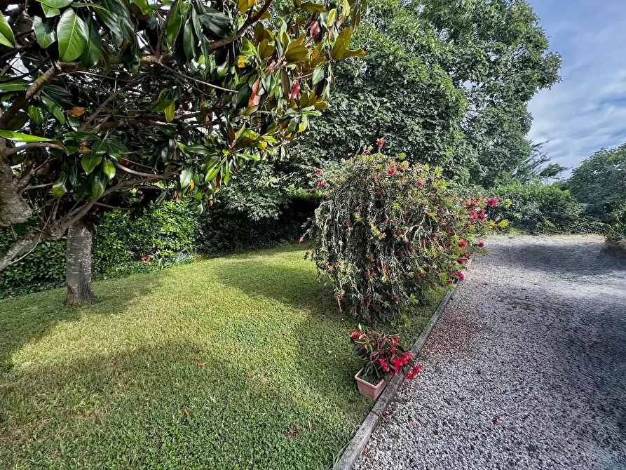 Immagine 5 di Villa in vendita  a San Giuliano Terme