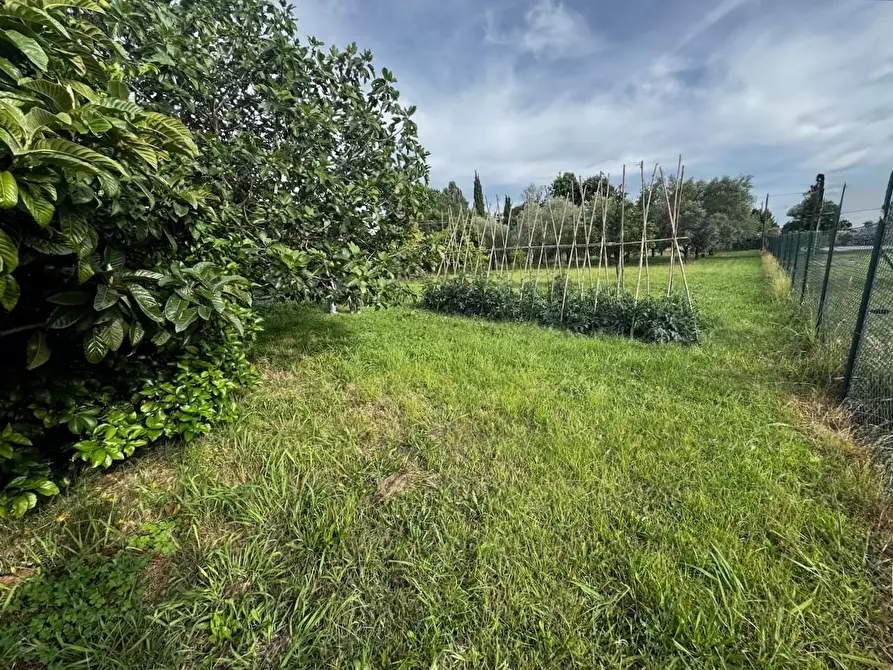 Immagine 6 di Villa in vendita  a San Giuliano Terme