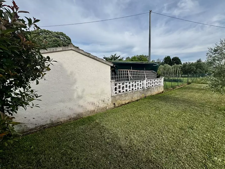 Immagine 9 di Villa in vendita  a San Giuliano Terme