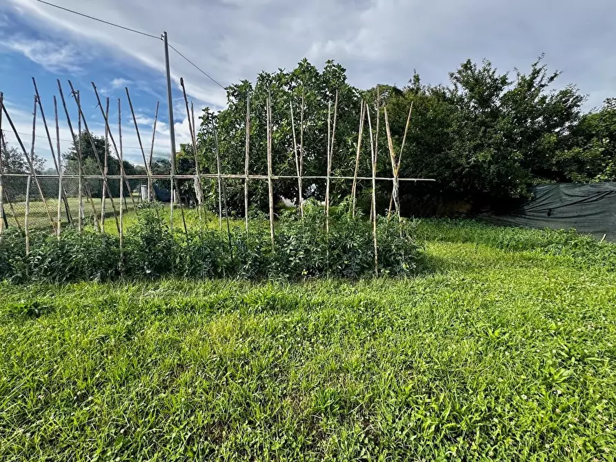 Immagine 7 di Villa in vendita  a San Giuliano Terme