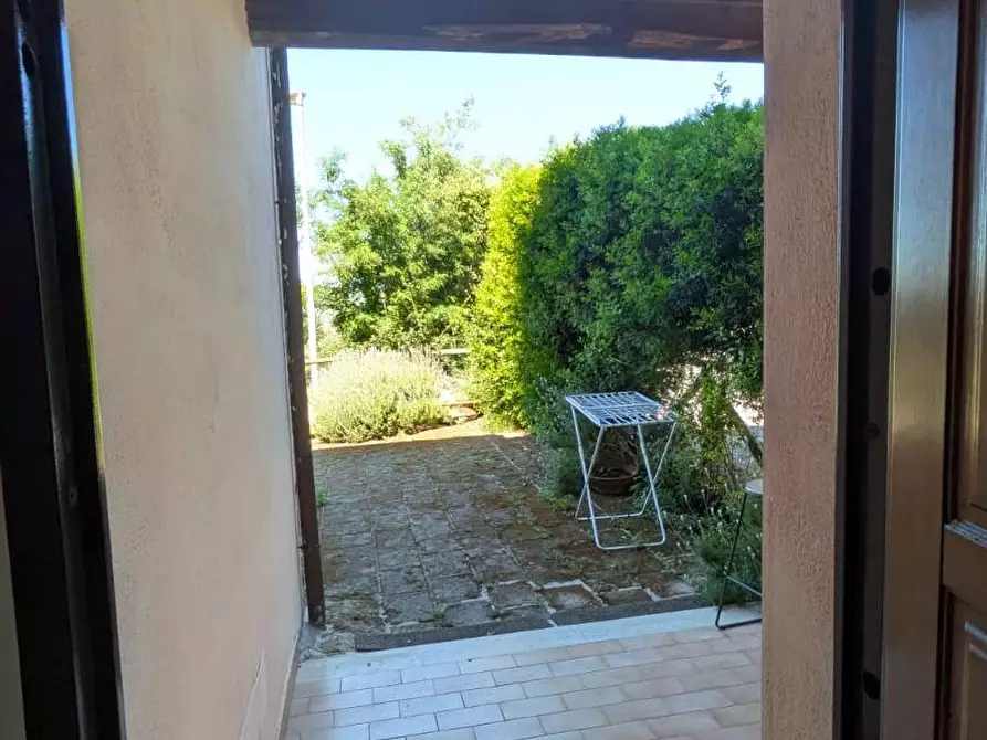 Immagine 2 di Appartamento in vendita  a Manciano