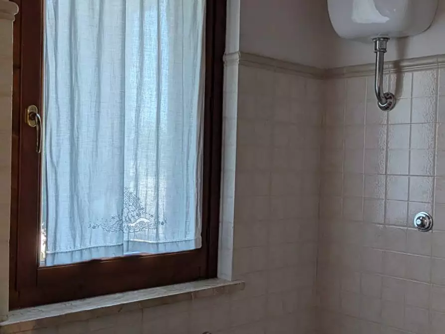 Immagine 11 di Appartamento in vendita  a Manciano