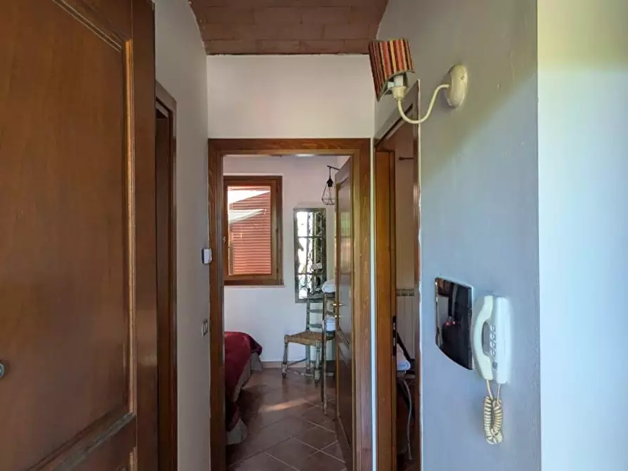 Immagine 10 di Appartamento in vendita  a Manciano